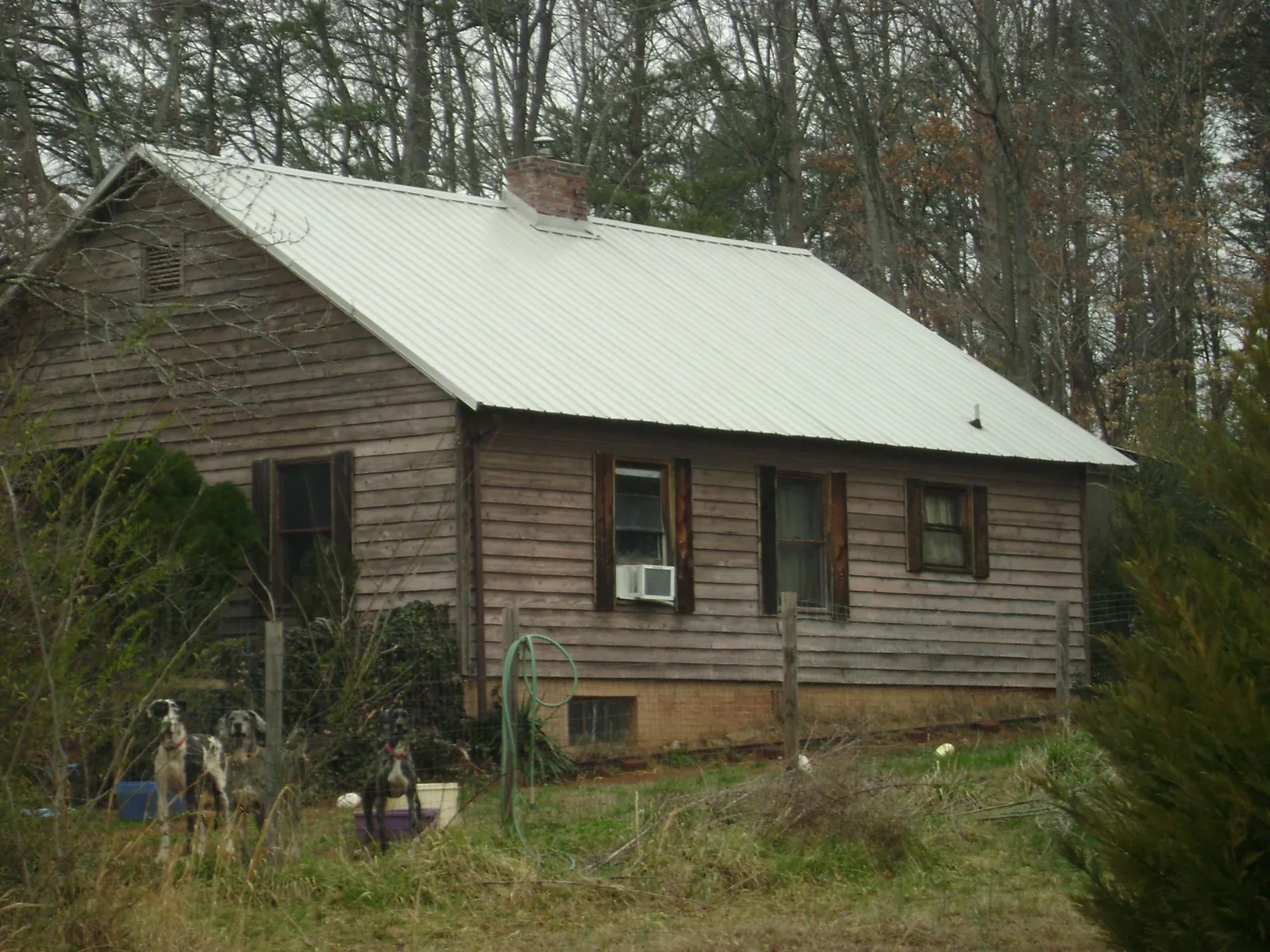 White metal roof on an old wood sided farmhouse, from a Asphalt Shingle Roof Repair job in Horse Shoe